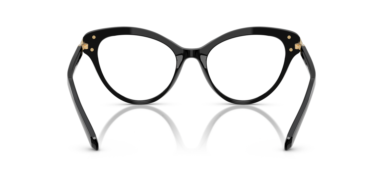 SWAROVSKI SK2030 1001 55