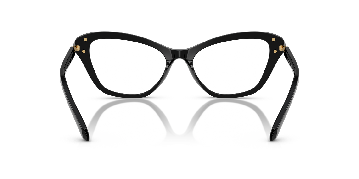 SWAROVSKI SK2031 1001 55