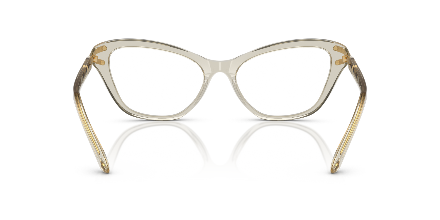 SWAROVSKI SK2031 3003 55