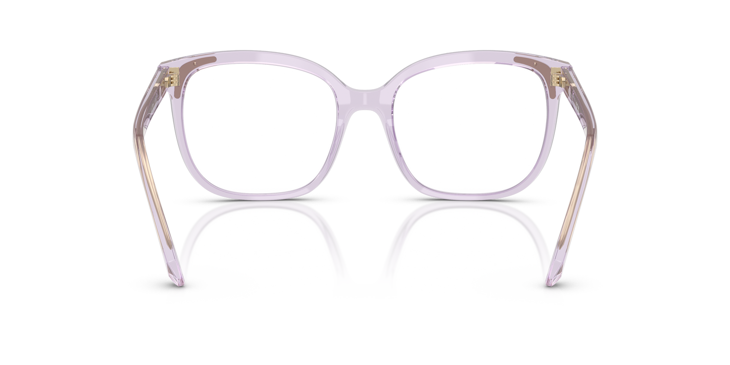 SWAROVSKI SK2033 1079 54