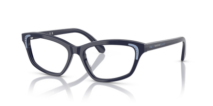 SWAROVSKI SK2034 1004 54