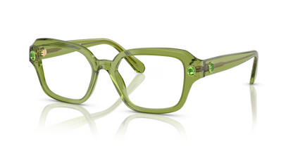 SWAROVSKI SK2039 3002 50