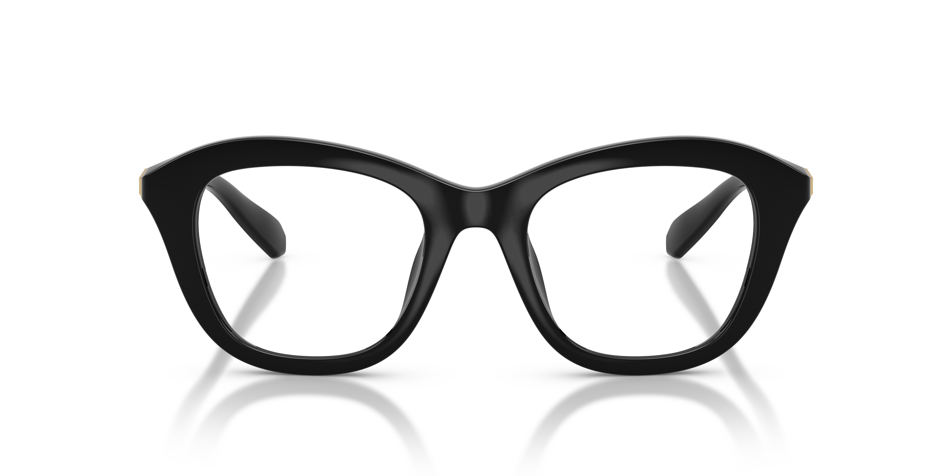 SWAROVSKI SK2042U 1001 48