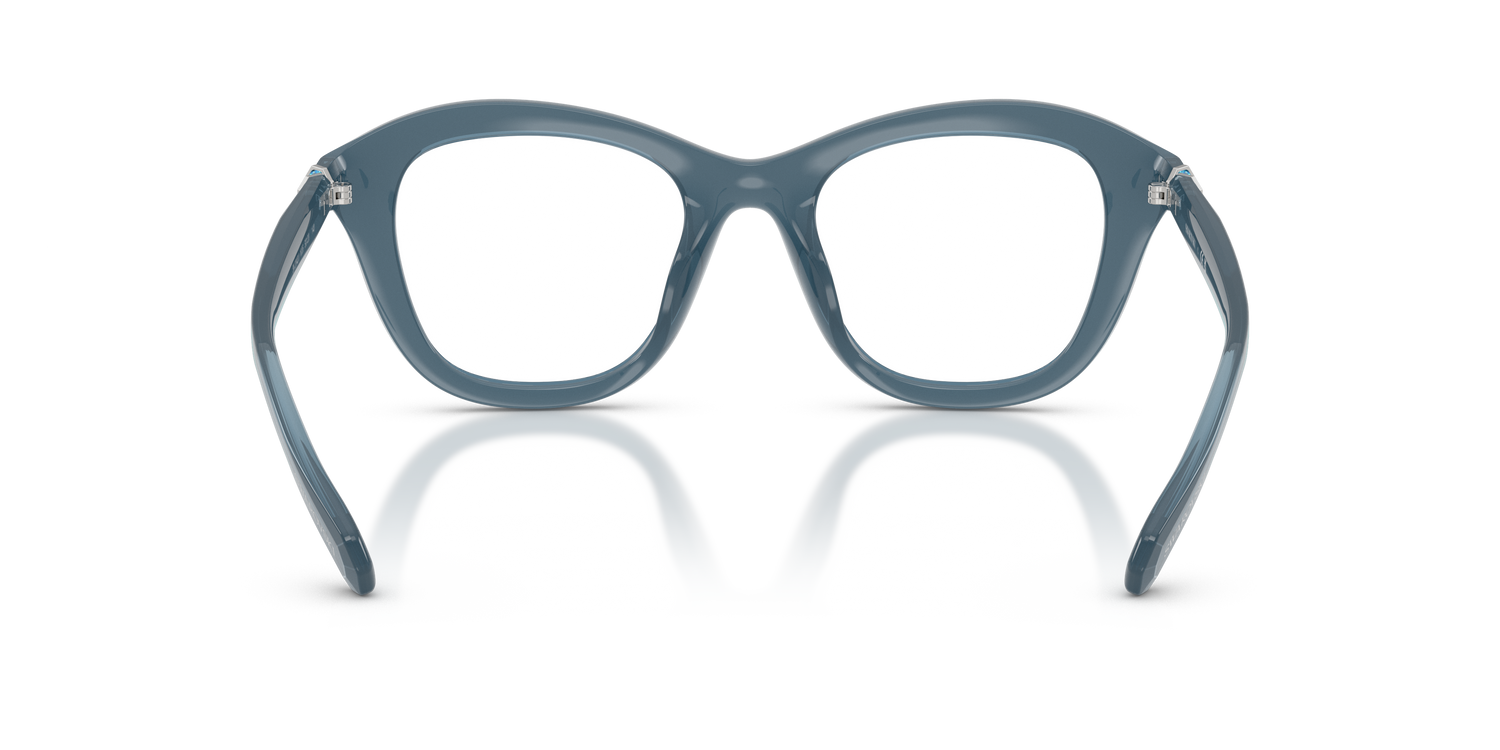 SWAROVSKI SK2042U 1035 48