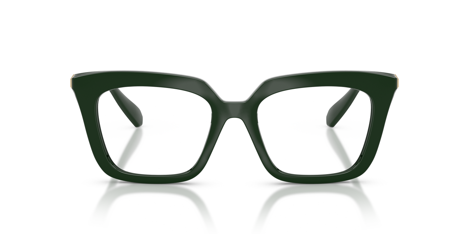 SWAROVSKI SK2043 1026 51