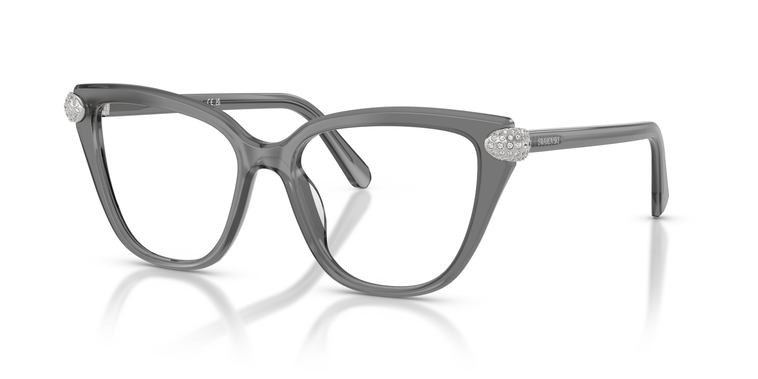 SWAROVSKI SK2045 1072 54