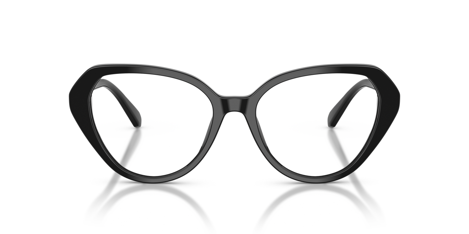 SWAROVSKI SK2054 1001 53