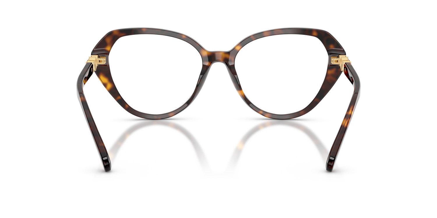 SWAROVSKI SK2054 1002 55