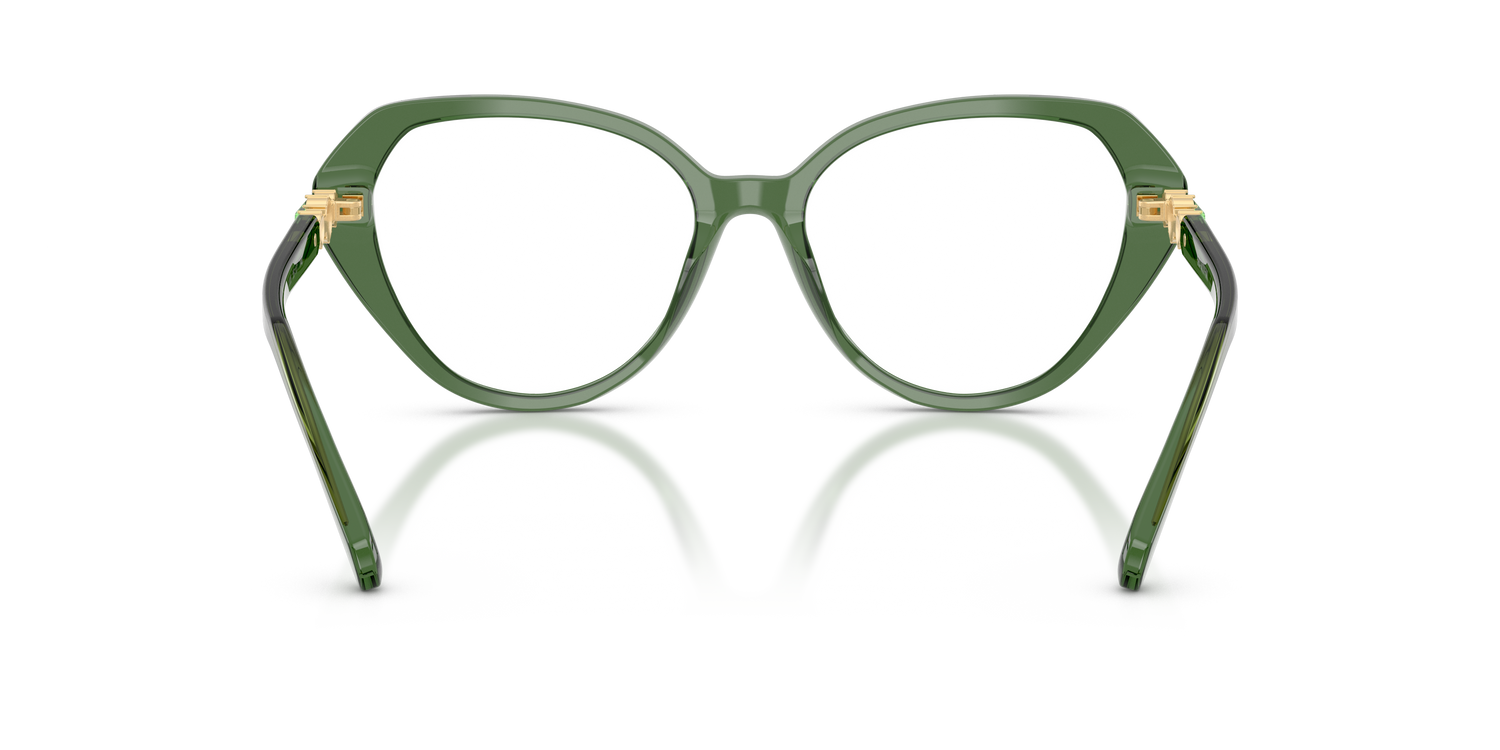 SWAROVSKI SK2054 1085 55