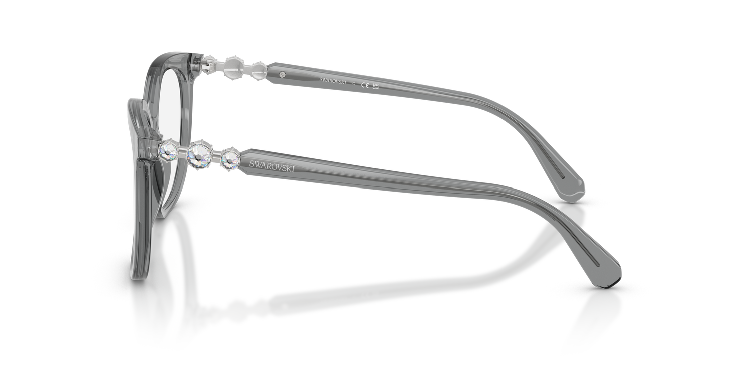 SWAROVSKI SK2055 1062 54