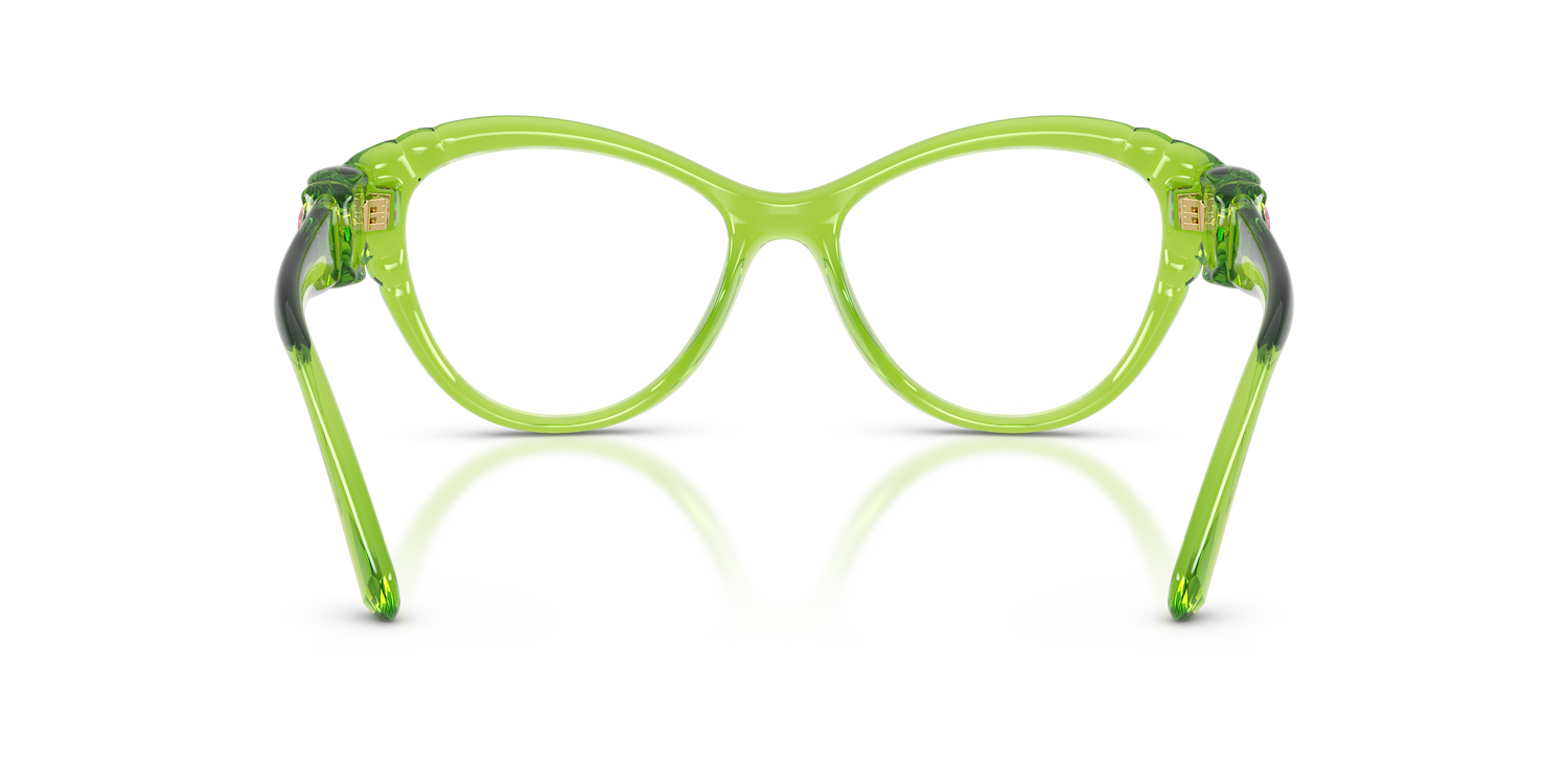 SWAROVSKI SK2057 1089 53