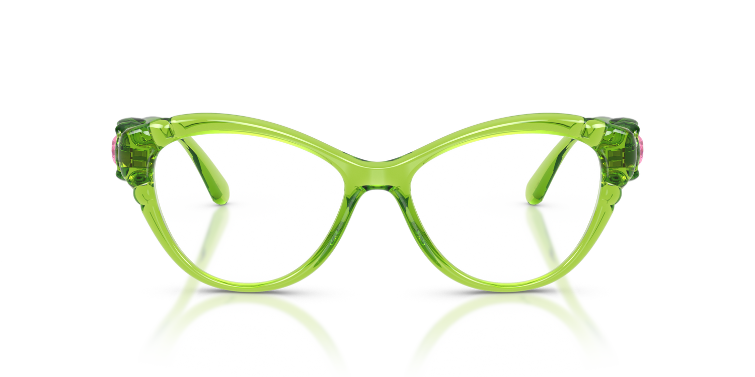 SWAROVSKI SK2057 1089 53