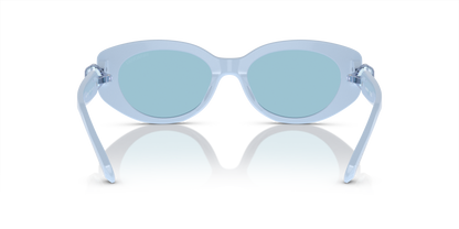 SWAROVSKI SK6002 1006N1 53