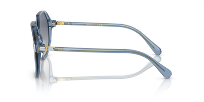 SWAROVSKI SK6003 10354L 57