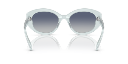 SWAROVSKI SK6005 10244L 53