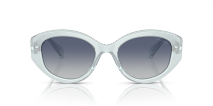 SWAROVSKI SK6005 10244L 53