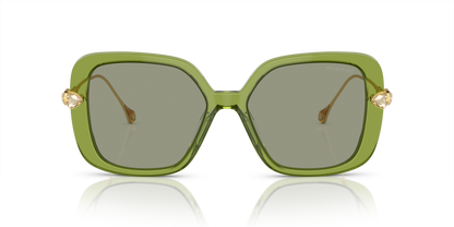 SWAROVSKI SK6011 3002/2 55