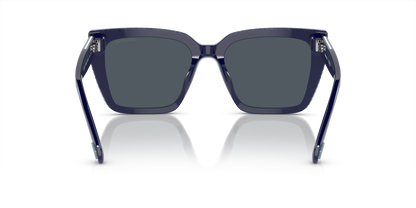 SWAROVSKI SK6013 101887 54