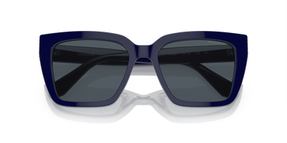 SWAROVSKI SK6013 101887 54