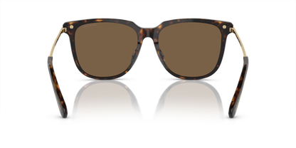 SWAROVSKI SK6015D 100273 55