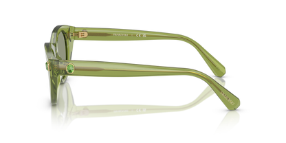 SWAROVSKI SK6025 3002/2 47