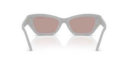 SWAROVSKI SK6029 10317N 50