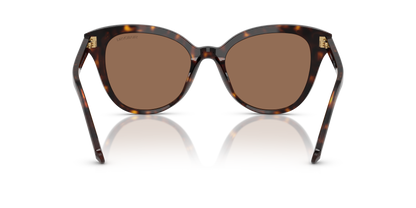 SWAROVSKI SK6031 100273 53