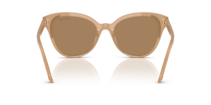 SWAROVSKI SK6031 2002M4 53