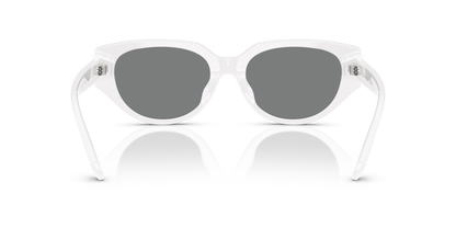 SWAROVSKI SK6035D 105087 54