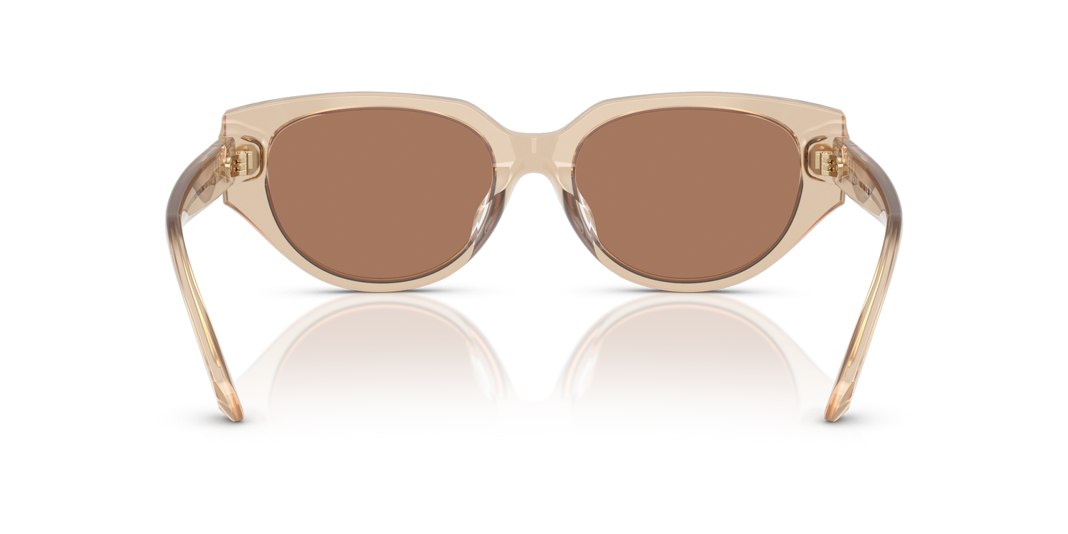 SWAROVSKI SK6035D 106673 54