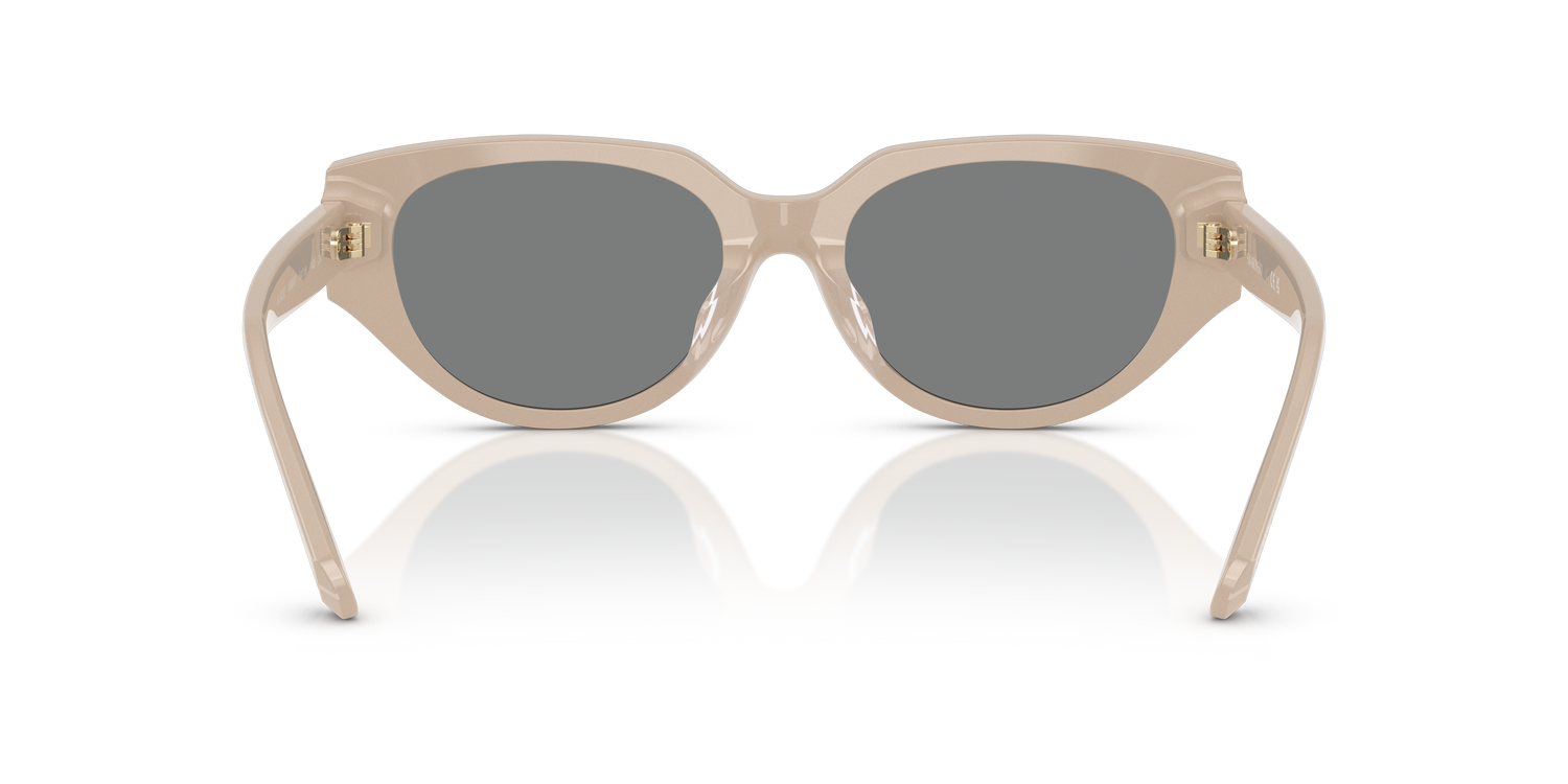 SWAROVSKI SK6035D 106887 54