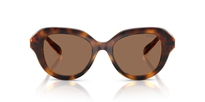 SWAROVSKI SK6037 100273 50