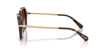 SWAROVSKI SK6040 100274 50