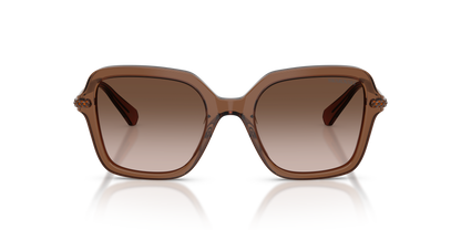 SWAROVSKI SK6040 106713 50