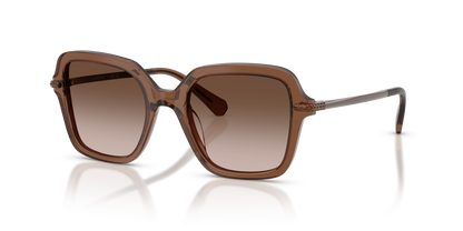 SWAROVSKI SK6040 106713 50