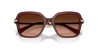 SWAROVSKI SK6040 10735M 50