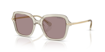 SWAROVSKI SK6040 3003LA 50