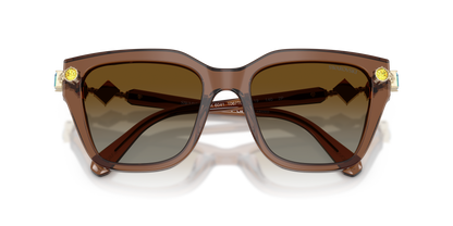 SWAROVSKI SK6041 1067T5 53