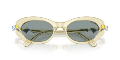 SWAROVSKI SK6042 1080/1 53