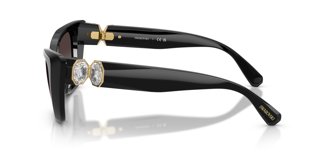 SWAROVSKI SK6047 10018G 54