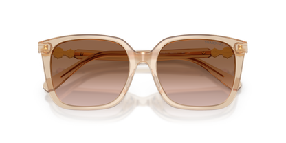 SWAROVSKI SK6053D 103413 55