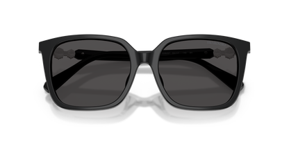 SWAROVSKI SK6053D 103887 55