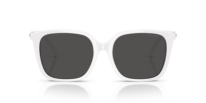 SWAROVSKI SK6053D 105087 55