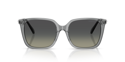 SWAROVSKI SK6053D 106211 55