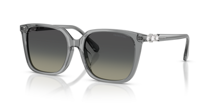 SWAROVSKI SK6053D 106211 55