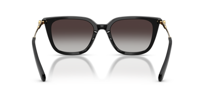 SWAROVSKI SK6054D 10018G 63