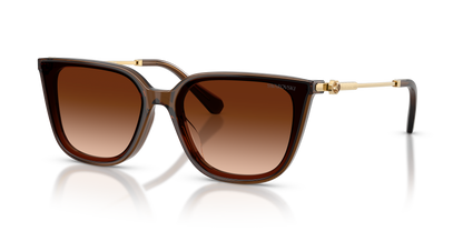 SWAROVSKI SK6054D 108474 63