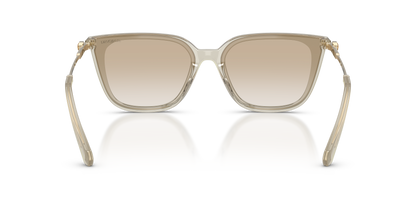 SWAROVSKI SK6054D 300311 63