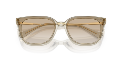 SWAROVSKI SK6054D 300311 63