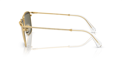 SWAROVSKI SK7006 4003U5 58